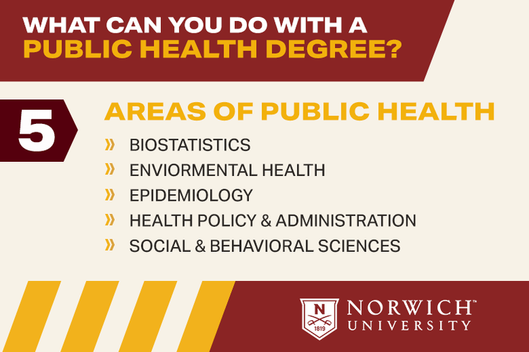 What can you do with a Public Health Degree infographic. Five Areas of Public Health. Biostatistics, Environmental Health, Epidemiology, Health Policy Administration, Social and Behavioral Sciences.